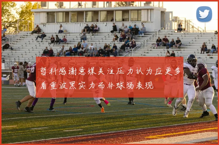 哲科感谢意媒关注压力认为应更多看重波黑实力而非球场表现