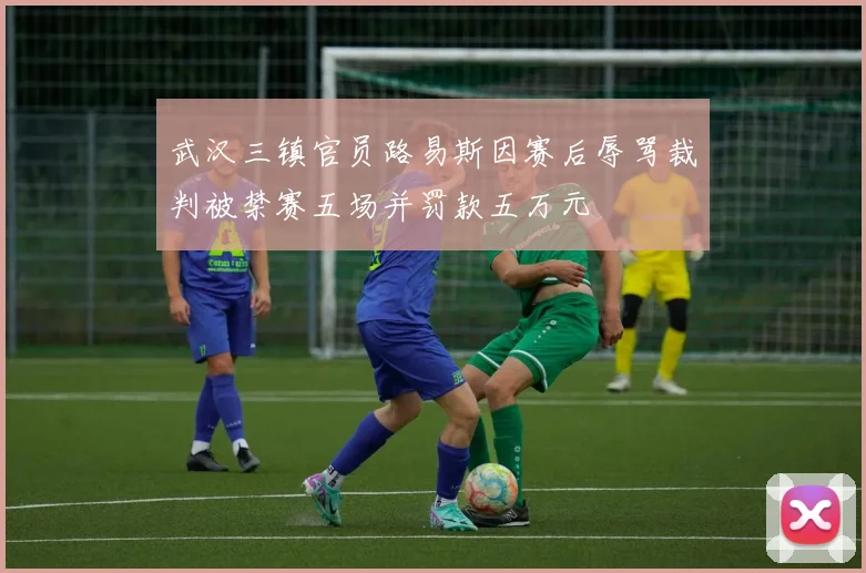 武汉三镇官员路易斯因赛后辱骂裁判被禁赛五场并罚款五万元
