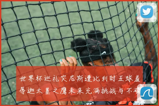 世界杯巡礼突尼斯遭比利时五球羞辱迦太基之鹰未来充满挑战与不确定性