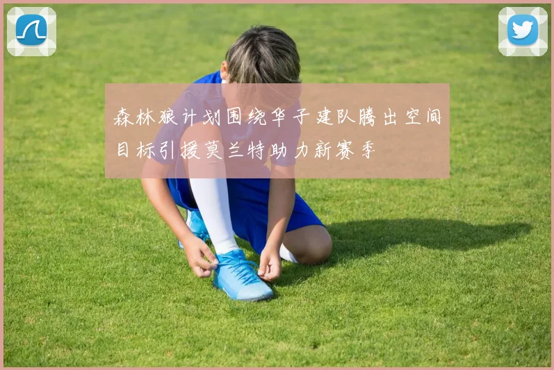森林狼计划围绕华子建队腾出空间目标引援莫兰特助力新赛季