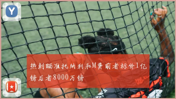热刺瞄准托纳利和M费前者标价1亿镑后者8000万镑