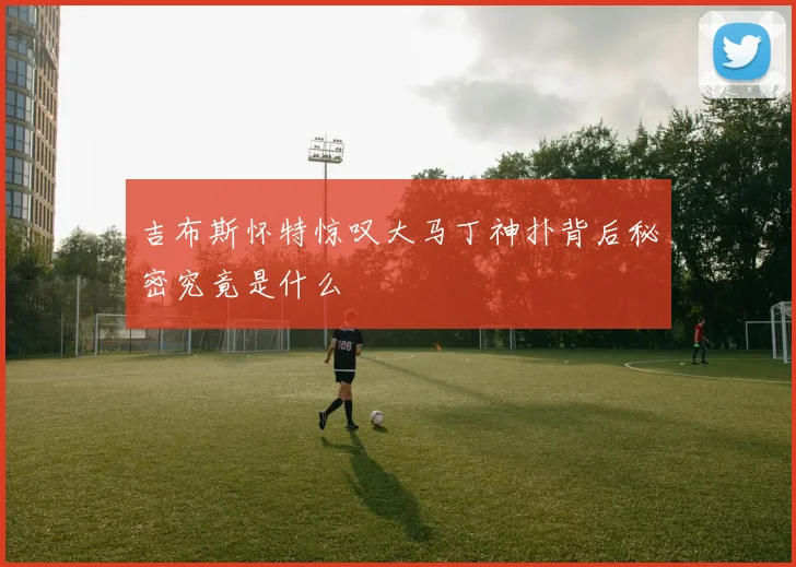 吉布斯怀特惊叹大马丁神扑背后秘密究竟是什么